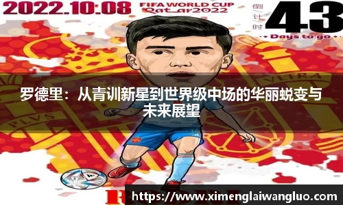 罗德里：从青训新星到世界级中场的华丽蜕变与未来展望