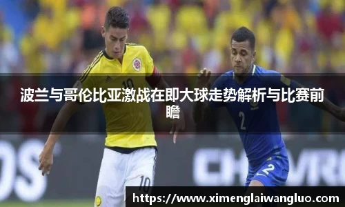 波兰与哥伦比亚激战在即大球走势解析与比赛前瞻