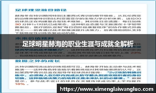 足球明星赫海的职业生涯与成就全解析